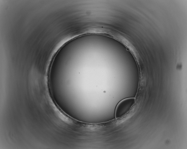 X0000101180803200807111114