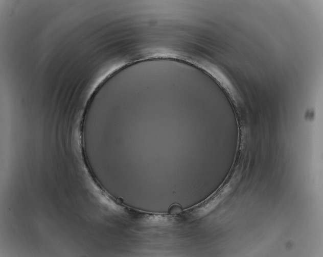 X0000101180806200807111114