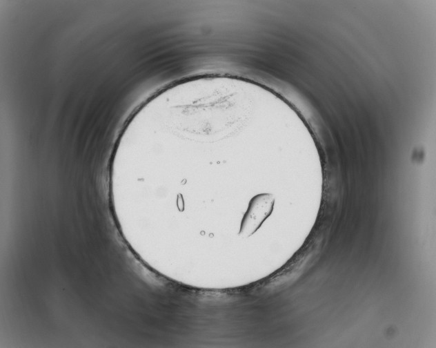X0000101180807200807111114