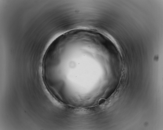 X0000101180811200807111114