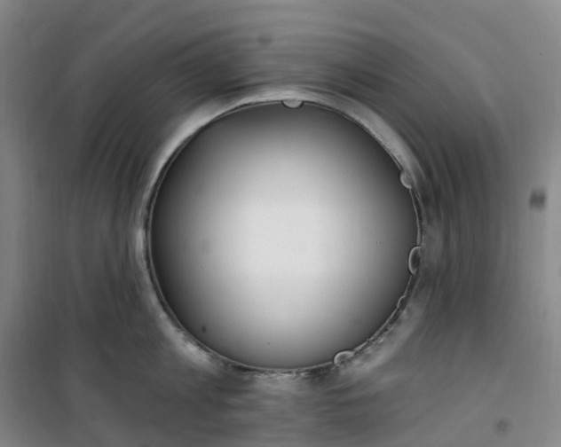 X0000101180813200807111114