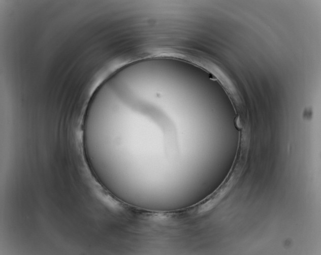 X0000101180814200807111114