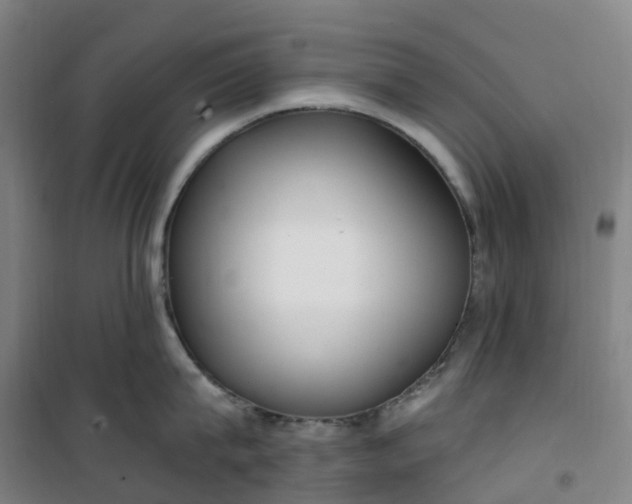 X0000101180815200807111114