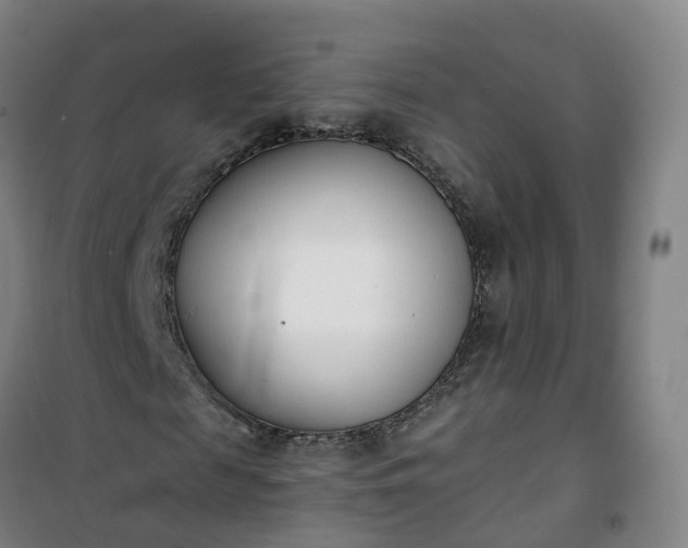 X0000101180817200807111113