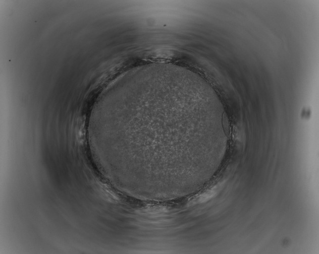 X0000101180818200807111113