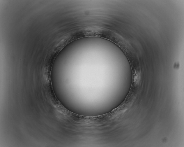 X0000101180819200807111113