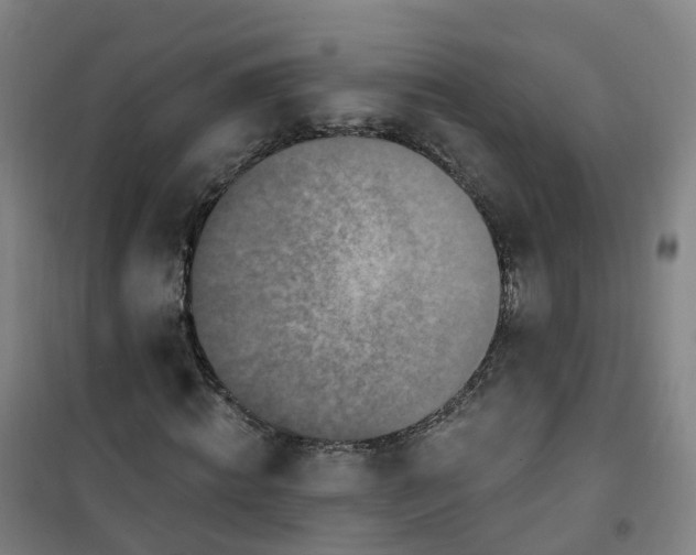X0000101180820200807111113