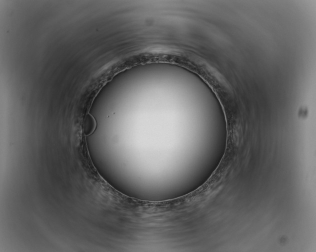 X0000101180821200807111113