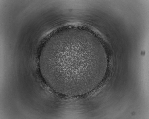 X0000101180822200807111113