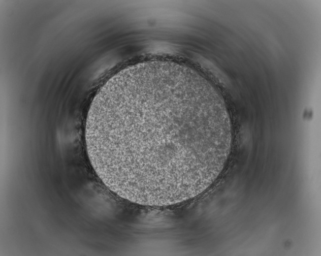 X0000101180824200807111113