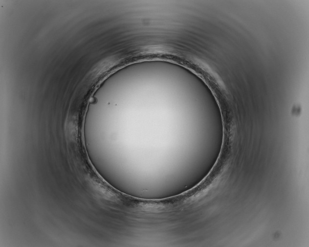 X0000101180825200807111113