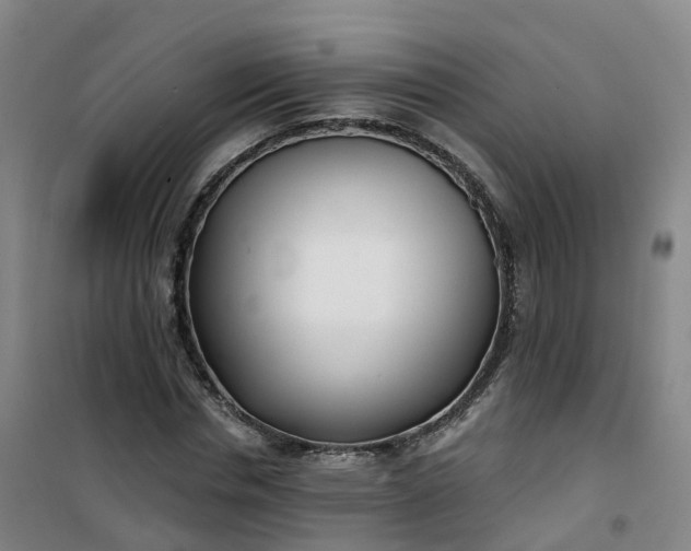 X0000101180826200807111113