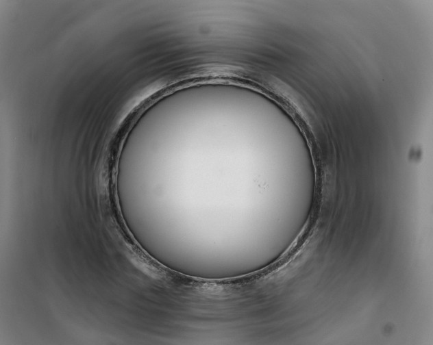 X0000101180827200807111113