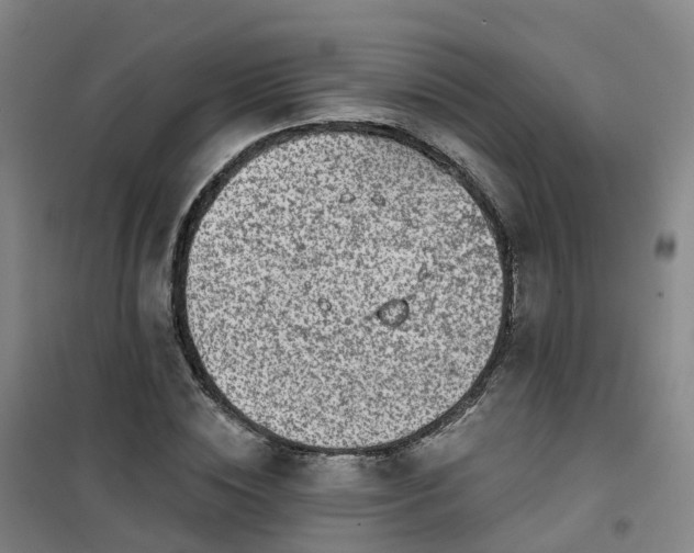 X0000101180828200807111113