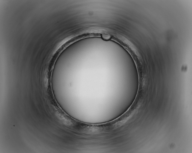 X0000101180829200807111113
