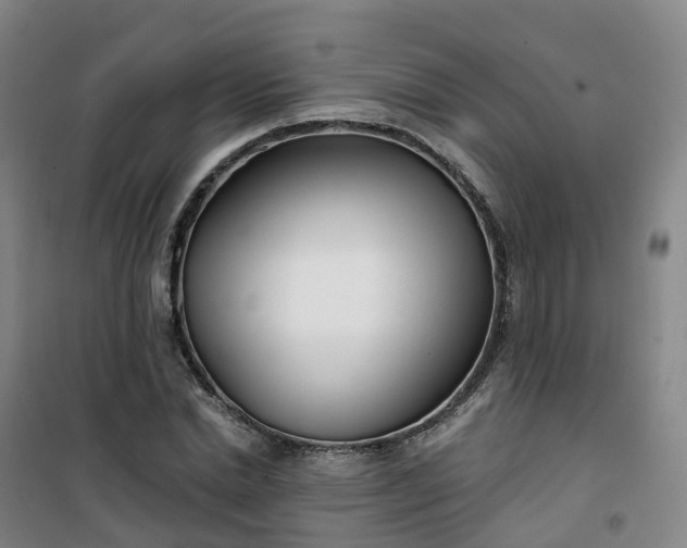 X0000101180830200807111113