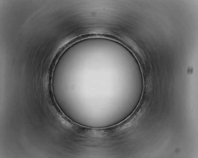 X0000101180831200807111113