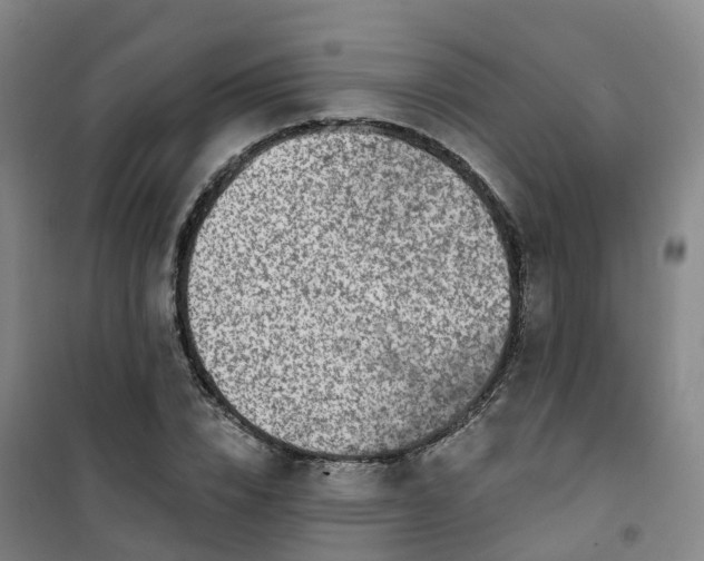 X0000101180832200807111113