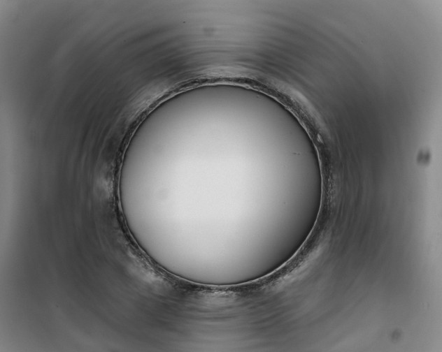 X0000101180833200807111113