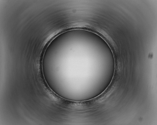 X0000101180834200807111113