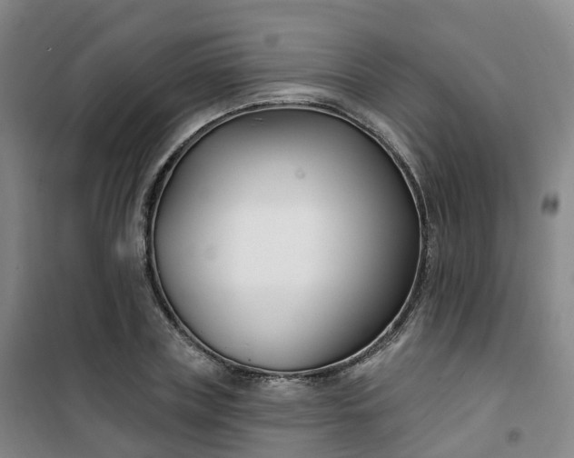 X0000101180835200807111113