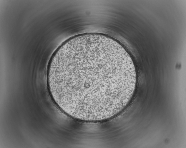 X0000101180836200807111113