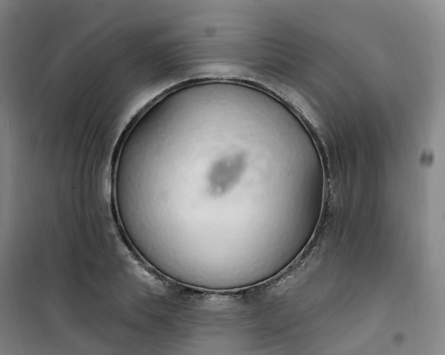 X0000101180839200807111113
