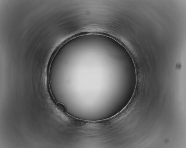 X0000101180840200807111113