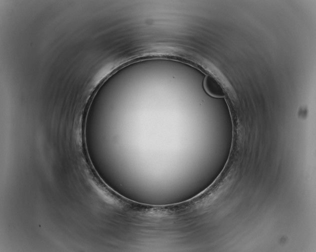 X0000101180842200807111113