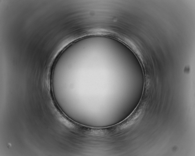 X0000101180843200807111113