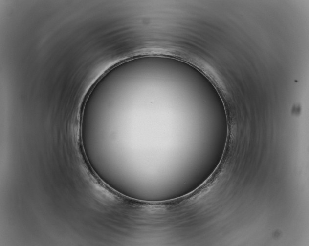 X0000101180844200807111113