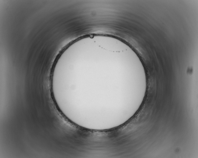 X0000101180848200807111113
