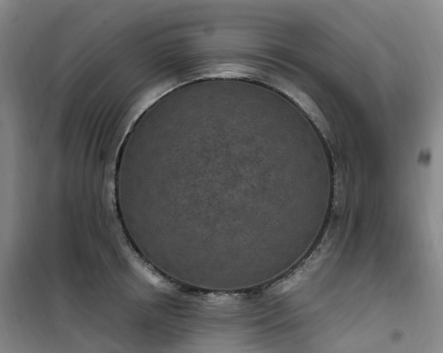 X0000101180850200807111113