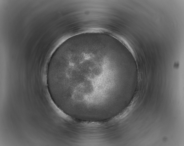 X0000101180851200807111114