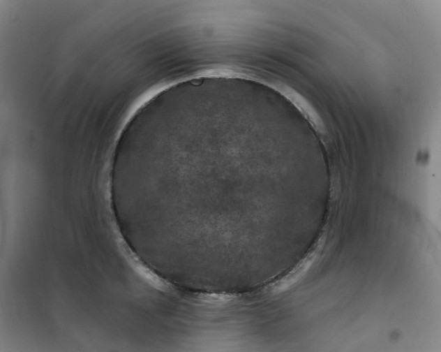 X0000101180854200807111114