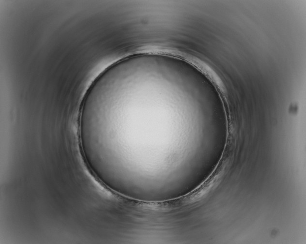 X0000101180855200807111114