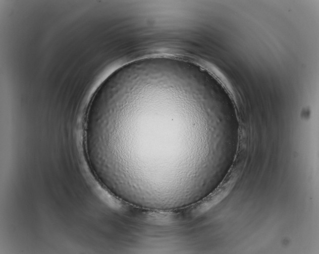 X0000101180859200807111114