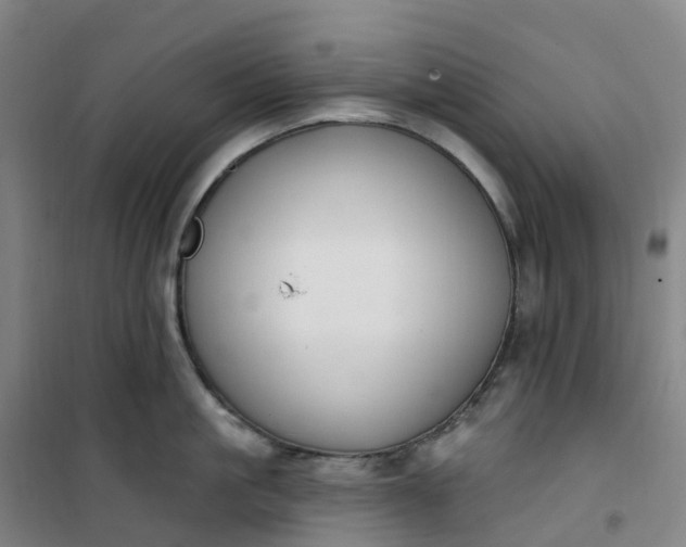 X0000101180861200807111114