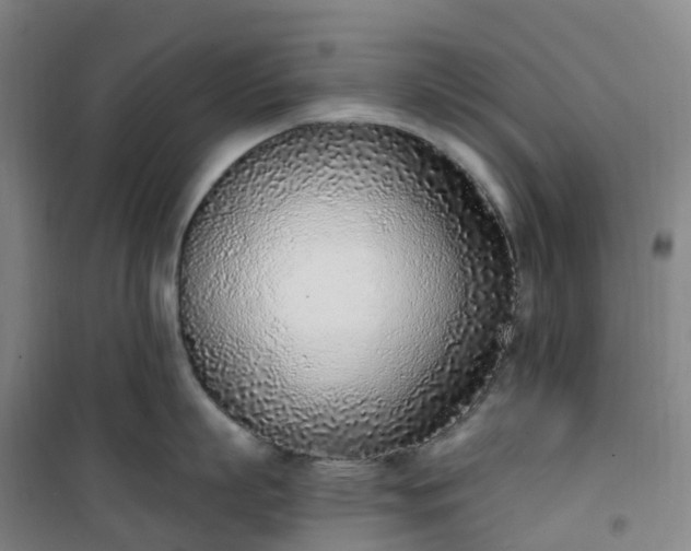 X0000101180863200807111114