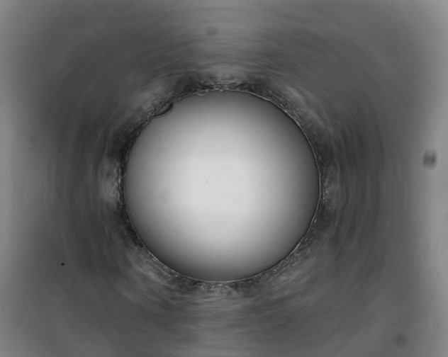 X0000101180866200807111113