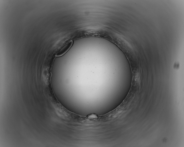 X0000101180868200807111113