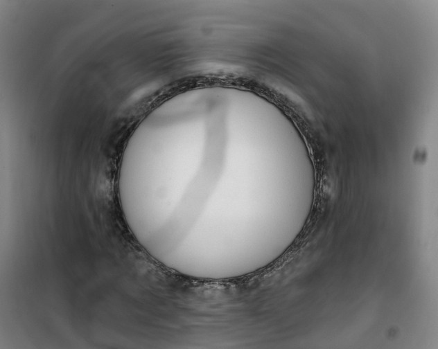 X0000101180869200807111113