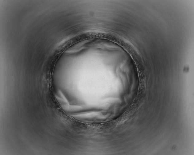 X0000101180870200807111113