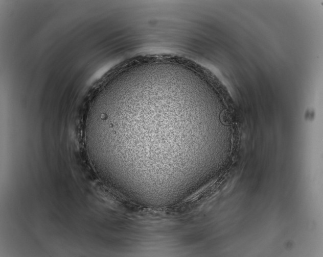 X0000101180871200807111113