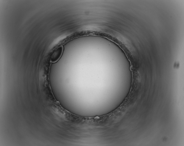 X0000101180872200807111113