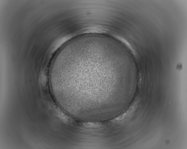 X0000101180874200807111113