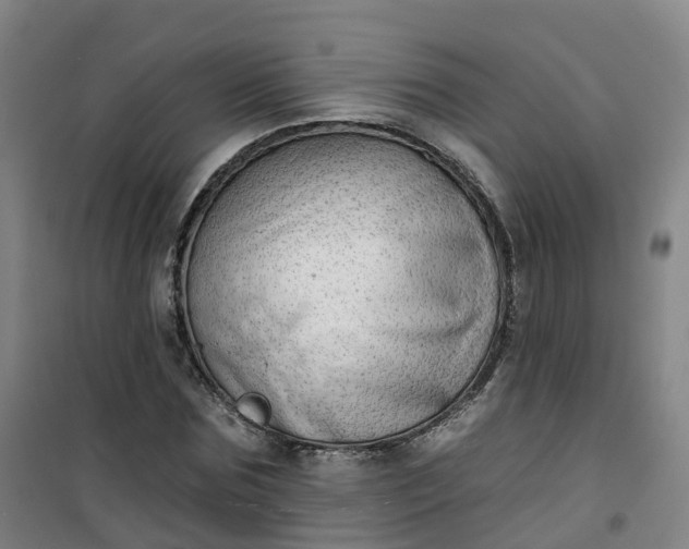 X0000101180875200807111113