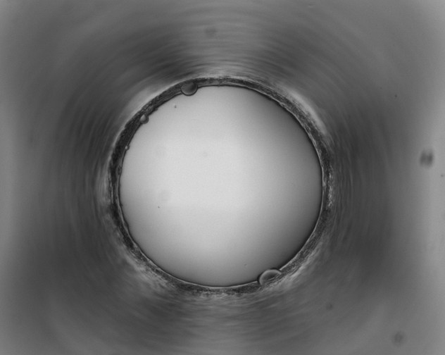 X0000101180876200807111113