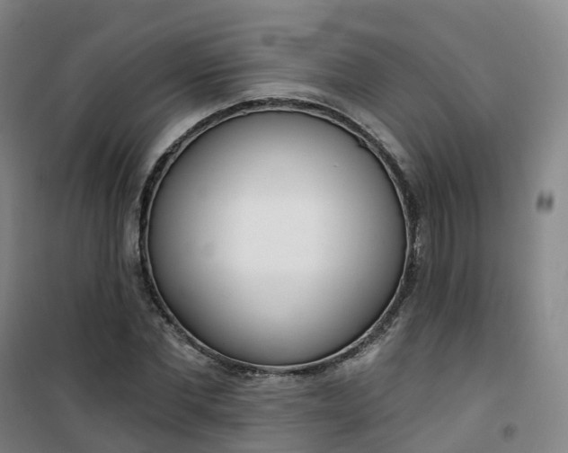 X0000101180877200807111113