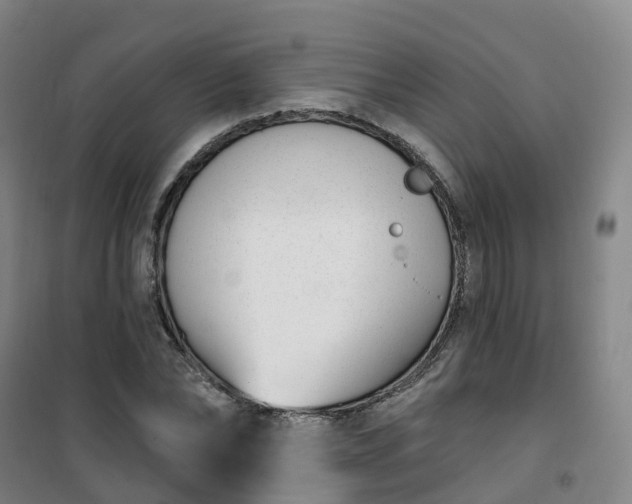 X0000101180878200807111113